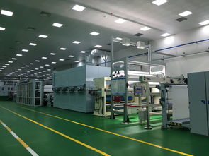 聚焦湖北醫衛非織造材料研發基地 地坪材料研發與購銷的專業評審